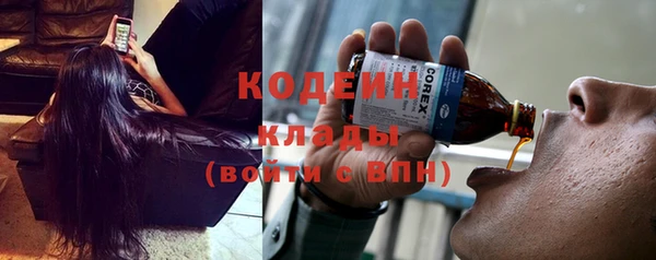 круглые Гусев