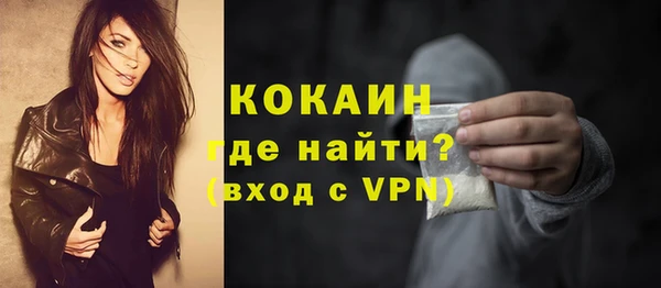 круглые Гусев
